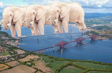 Thumbnail image for elephantbridge.jpg