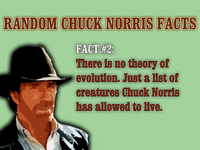 chucknorrisevolution.jpg