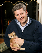 harperkitten.jpg