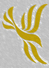 Thumbnail image for libdemlogo.jpg