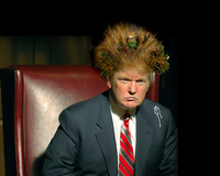 trumphaircheckinfo.jpg